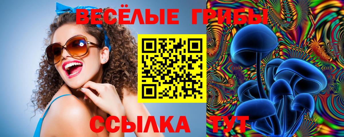 Псилоцибиновые грибы мицелий Сыктывкар
